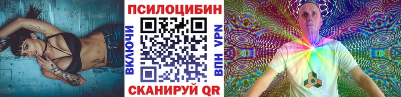 Галлюциногенные грибы Psilocybine cubensis  Поронайск 